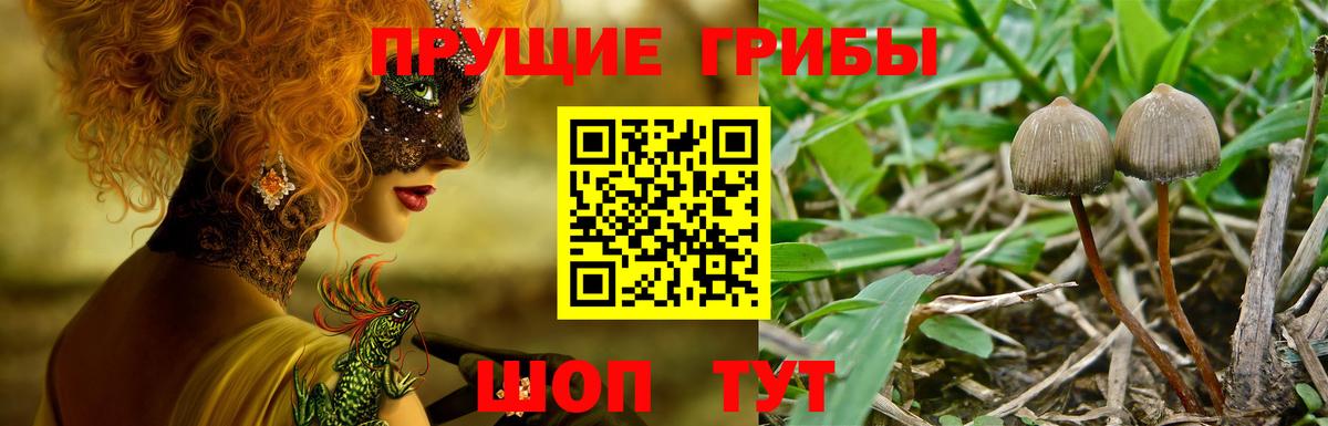 Лсд 25 Мелеуз